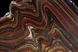 Polished Tiger Iron Stromatolite - ( Billion Years) #65358-1